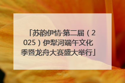 苏韵伊情·第二届（2025）伊犁河端午文化季暨龙舟大赛盛大举行